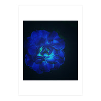 Lucky Blue Rose (Print Only)