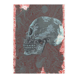 Saffron (Print Only) thumbnail