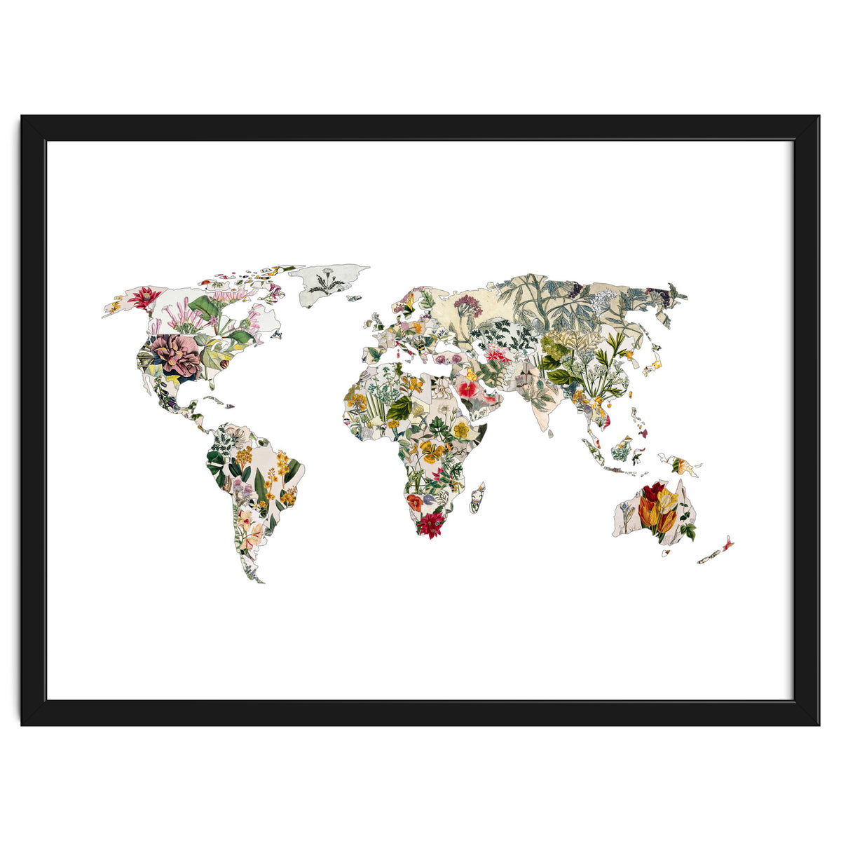 Vintage Botanical Map