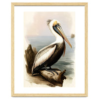 Pelican on the Shoreline Vintage Painting