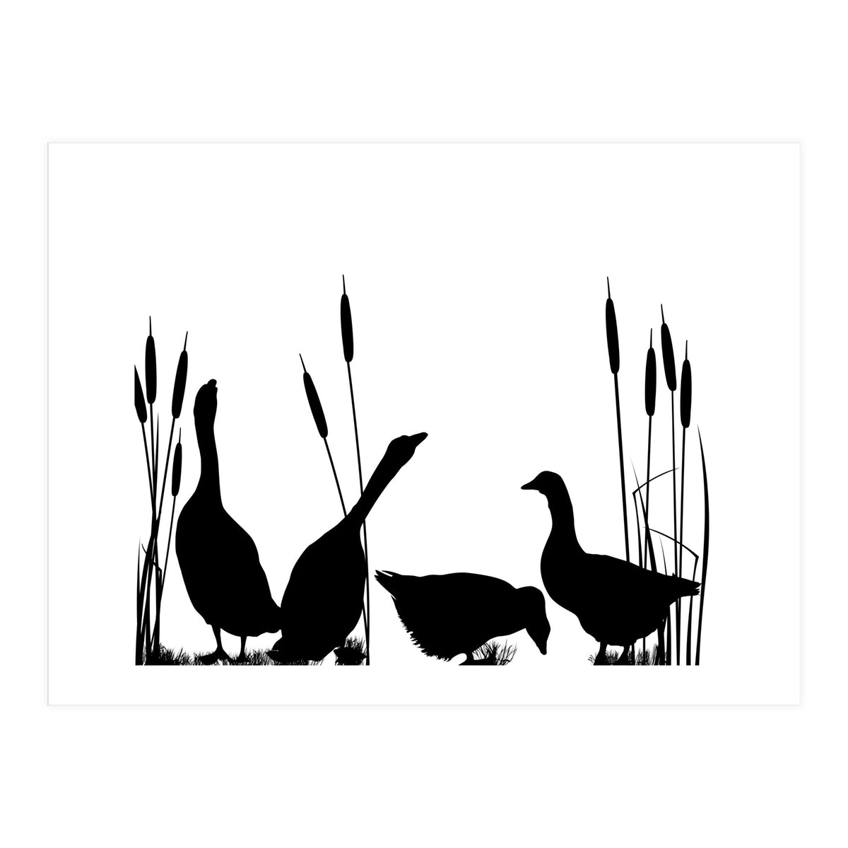 Goose talk too (Print Only)