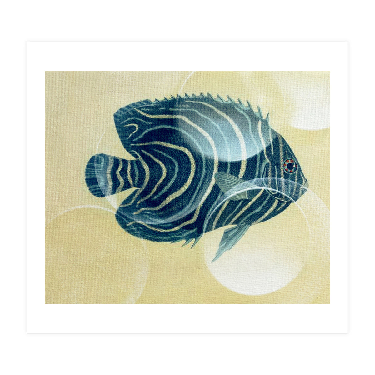 Fish Between Circles (Print Only)