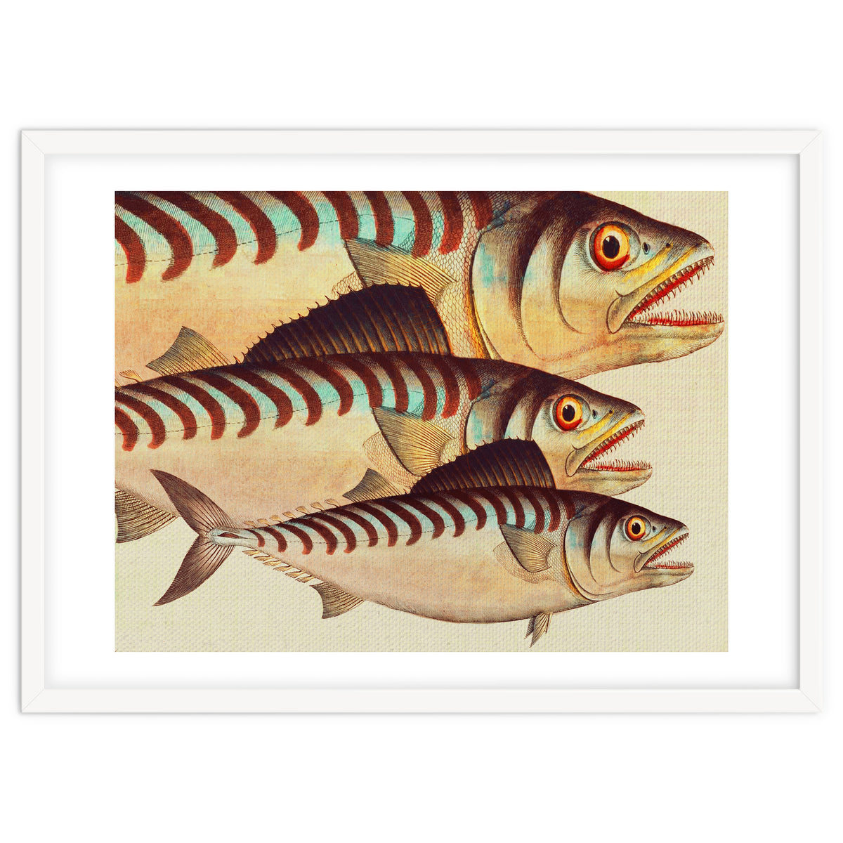 Fish Classic Designs 8