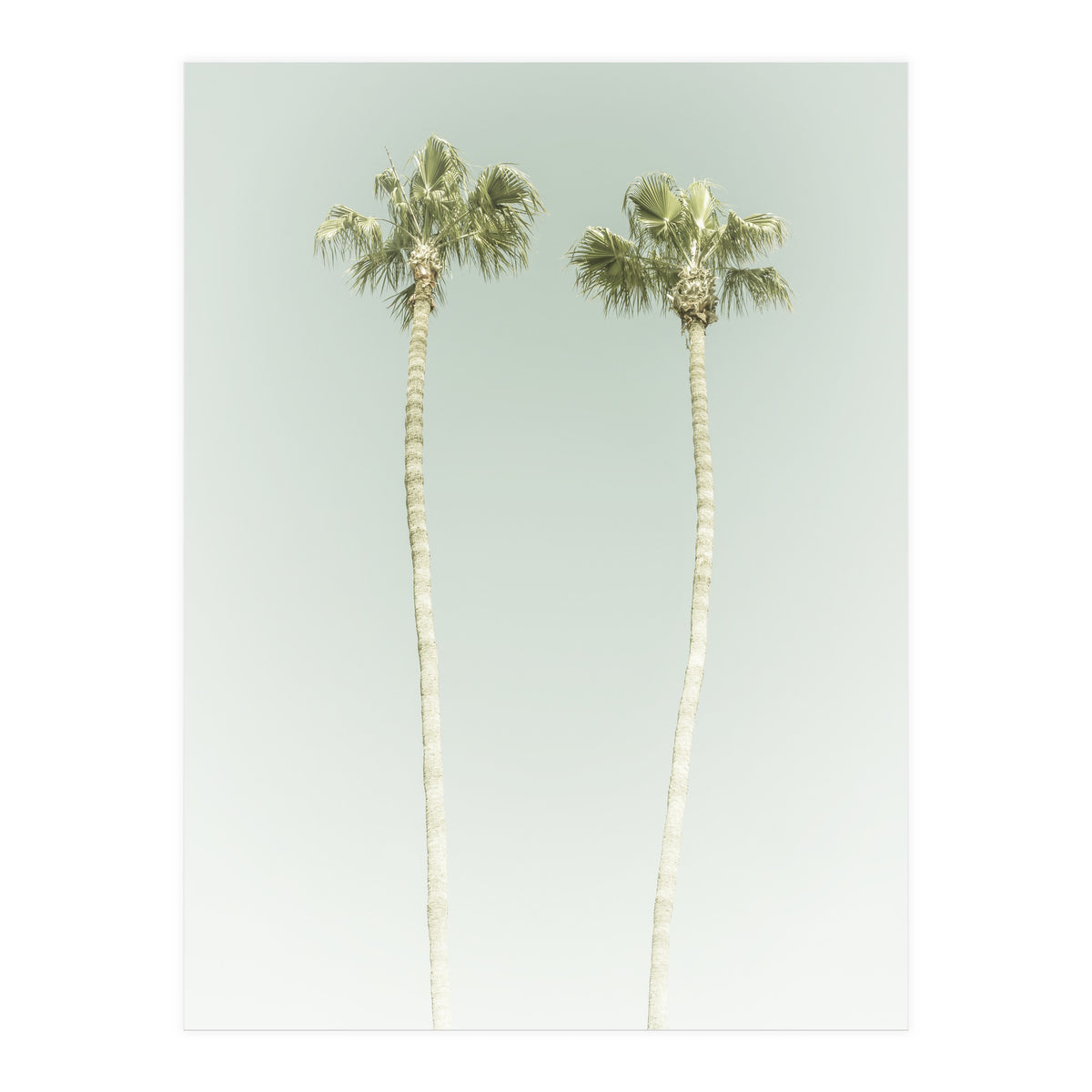 Vintage Palm Trees  (Print Only)