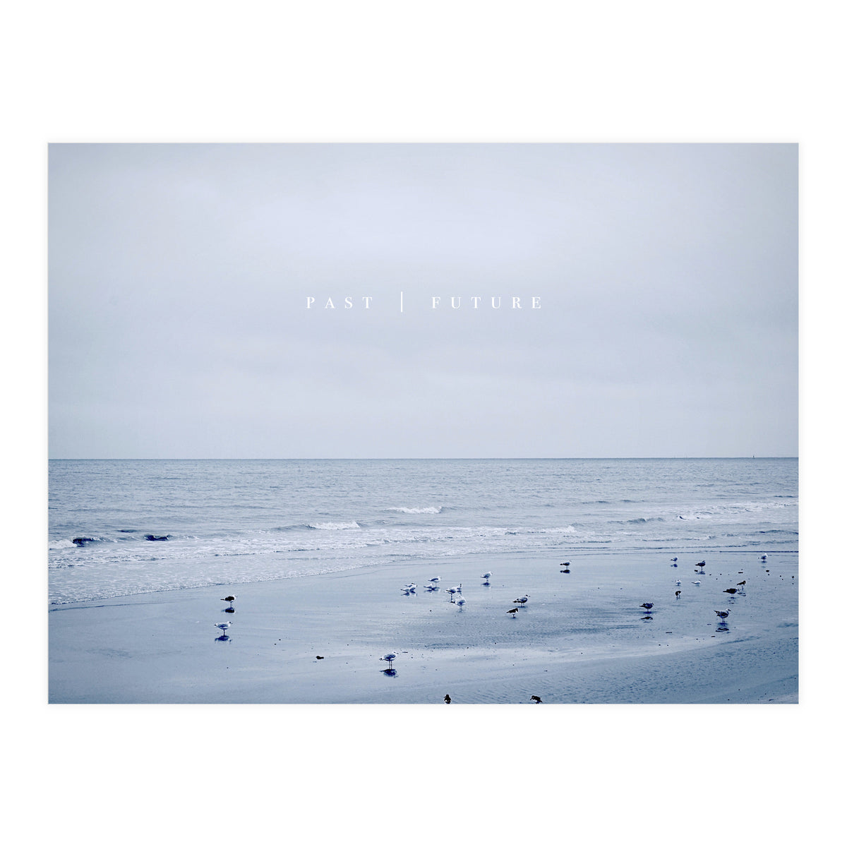 PAST | FUTURE  (Print Only)