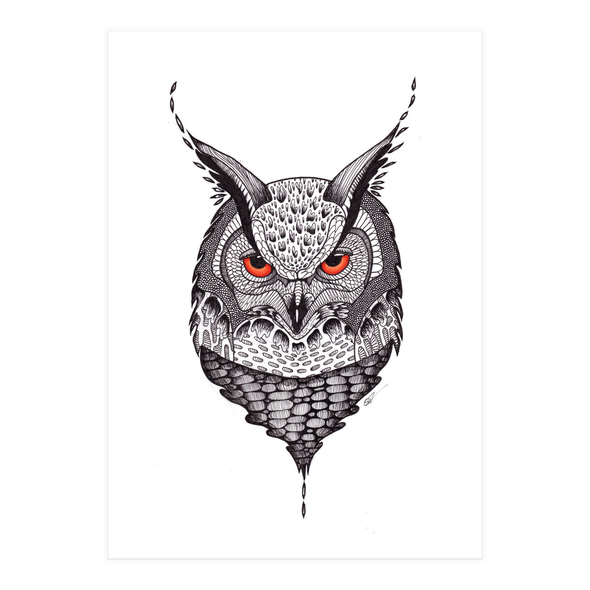 Owl (Print Only)