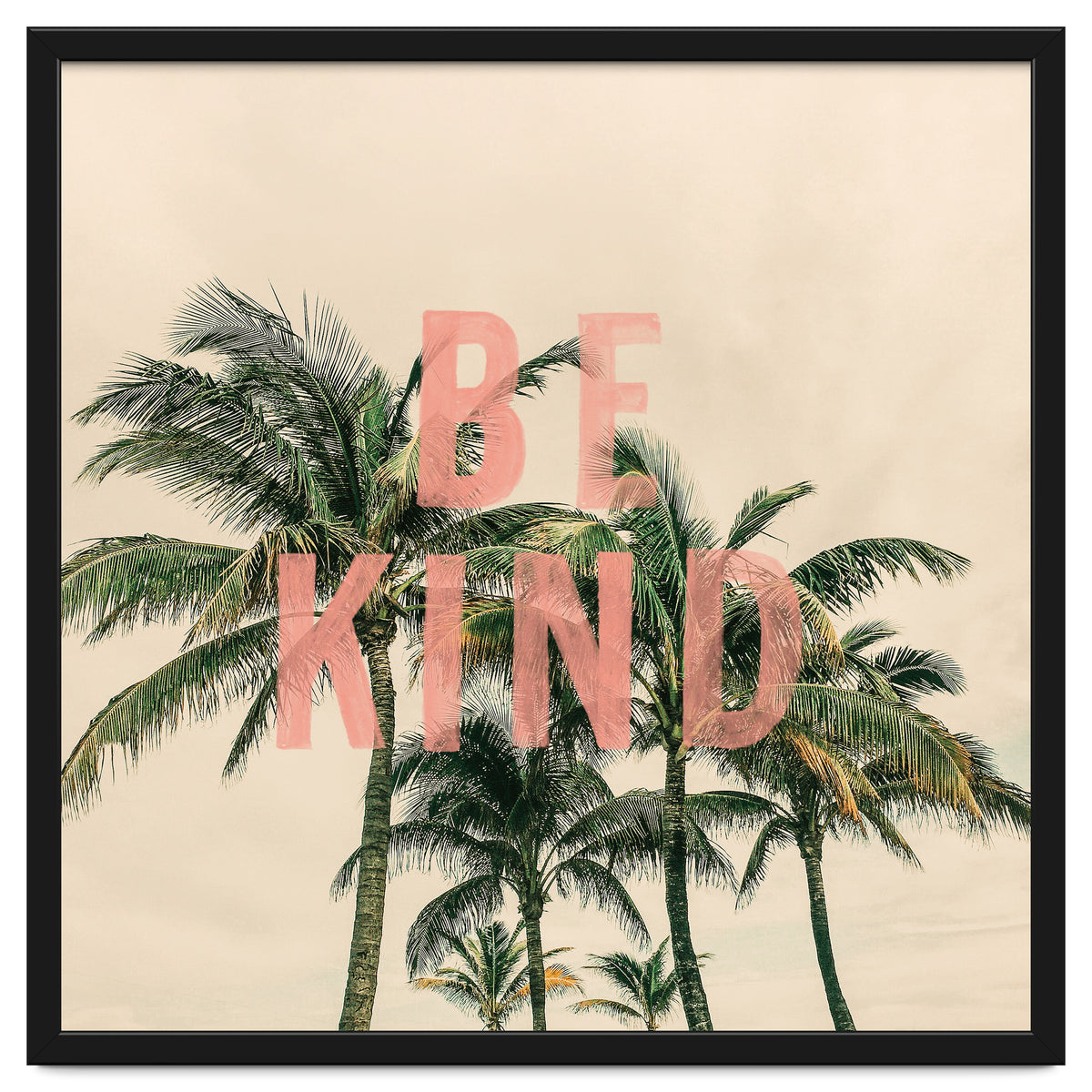 Be Kind Palm
