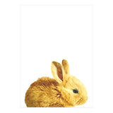 Bunny Portrait (Print Only) thumbnail