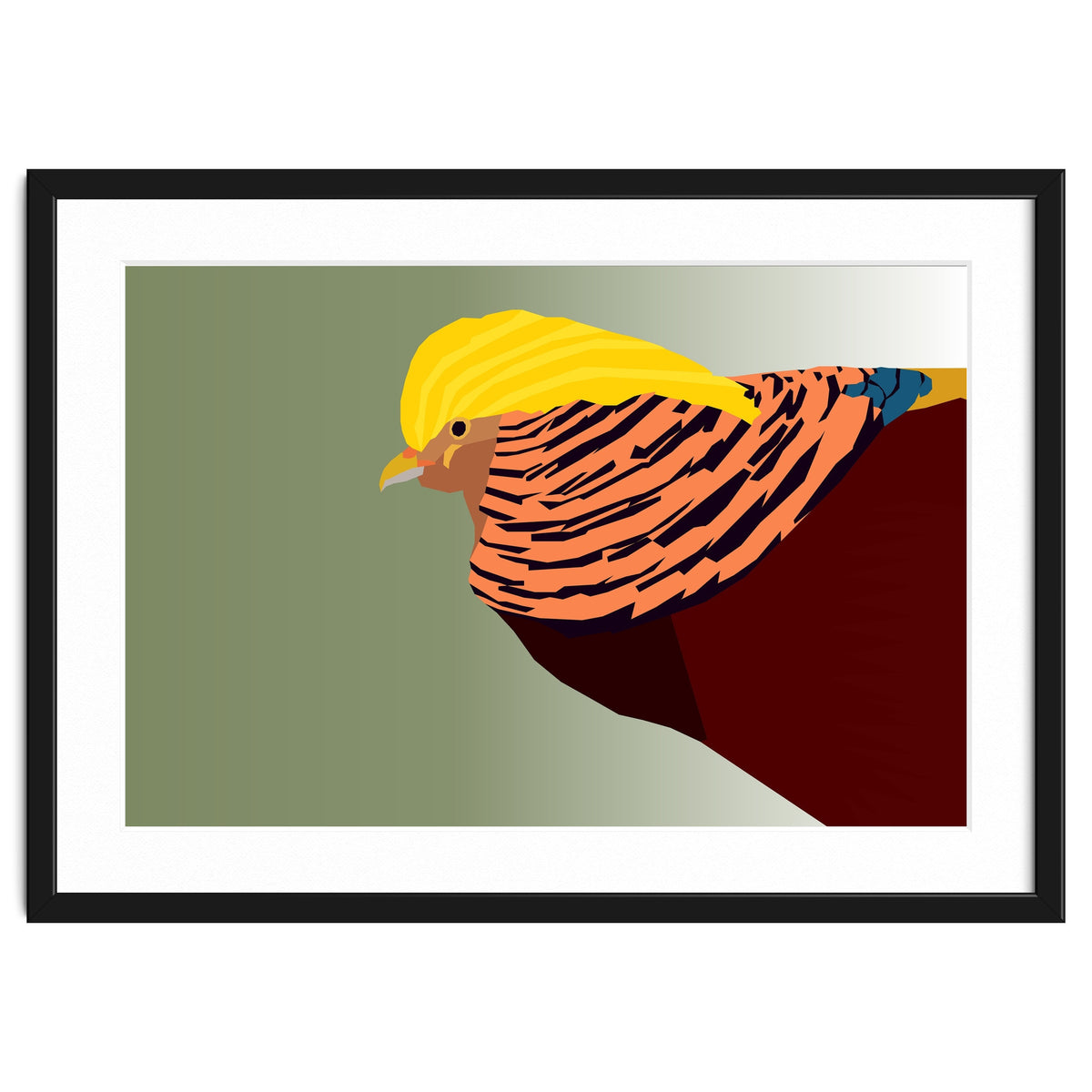 Golden Pheasant Bird Art