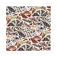 Moths of North America Pattern (Print Only)