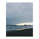 Ocean Beach II (Print Only) thumbnail