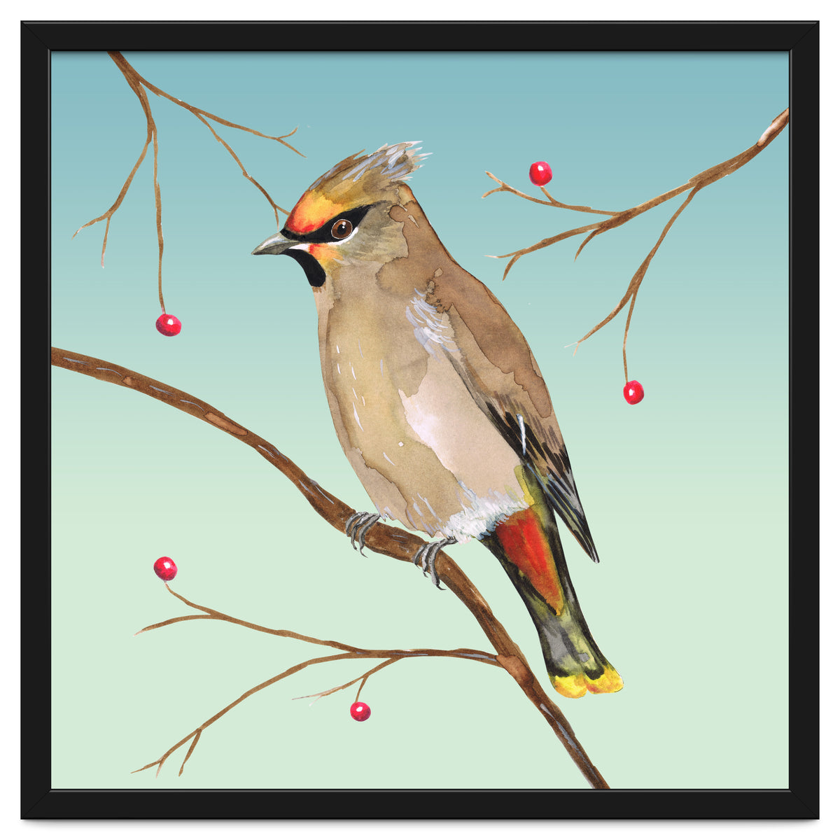 Bohemian waxwing