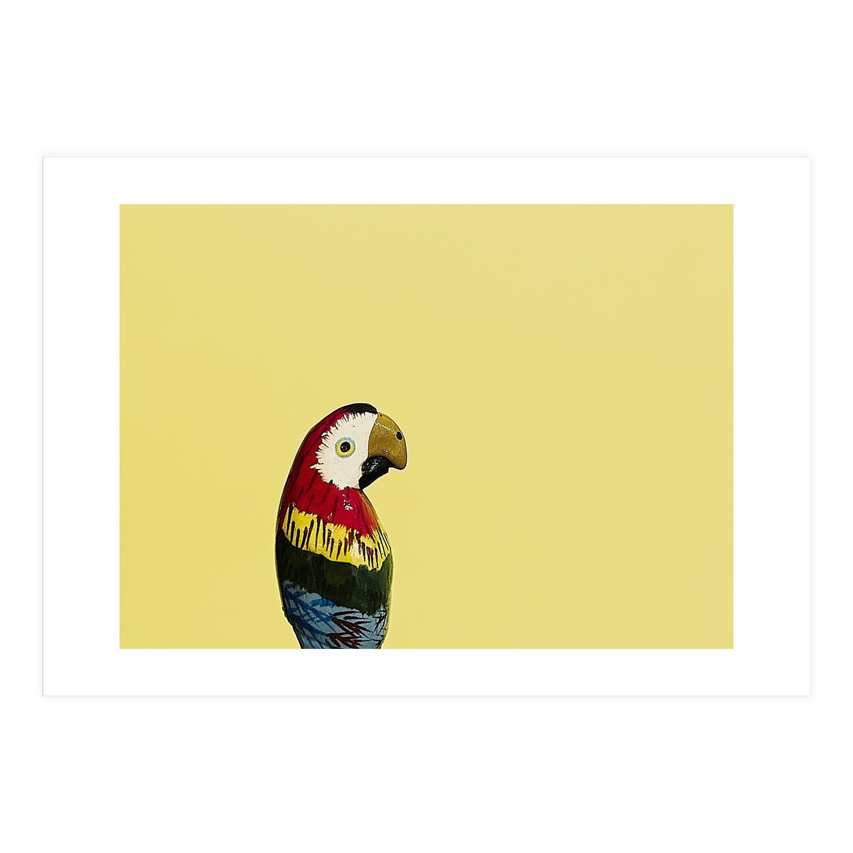 Parrot (Print Only)