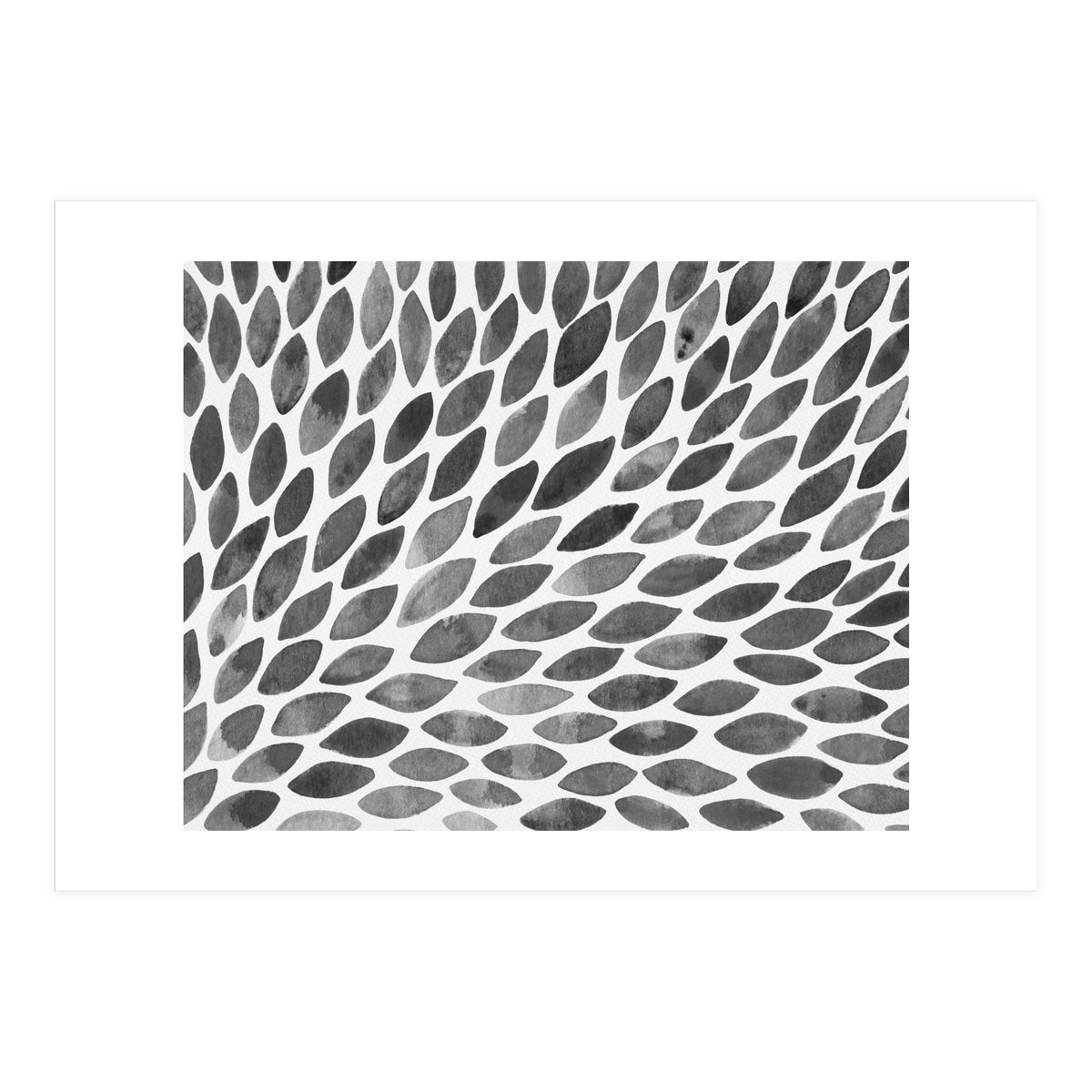 Black and white petal burst (Print Only)