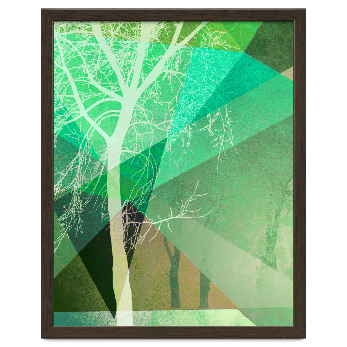 P22 B Trees And Triangles