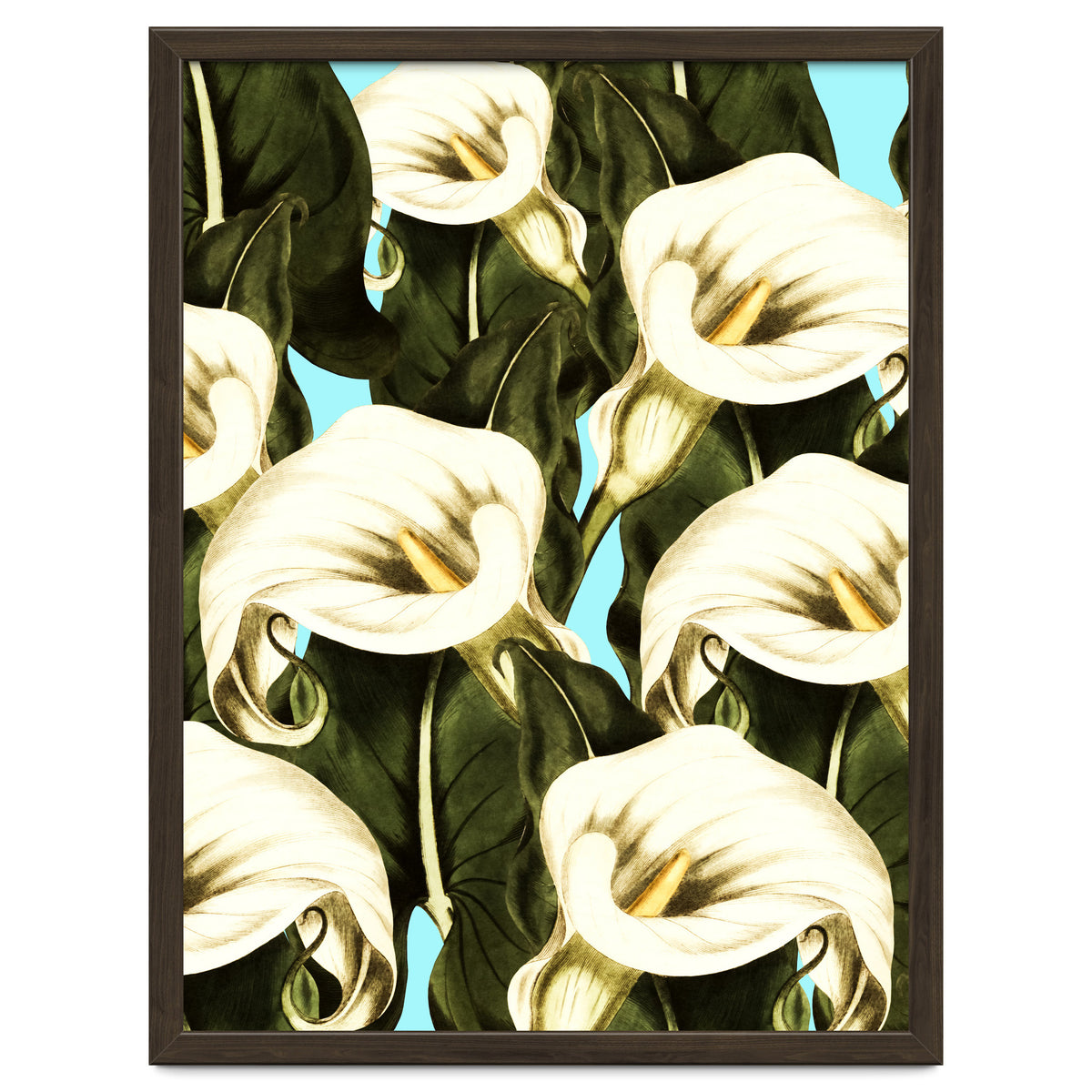 Pattern floral Ethiopian-Calla