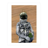 Cacti (Print Only) thumbnail