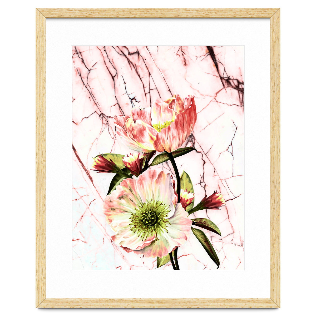 Flowering on pink marble