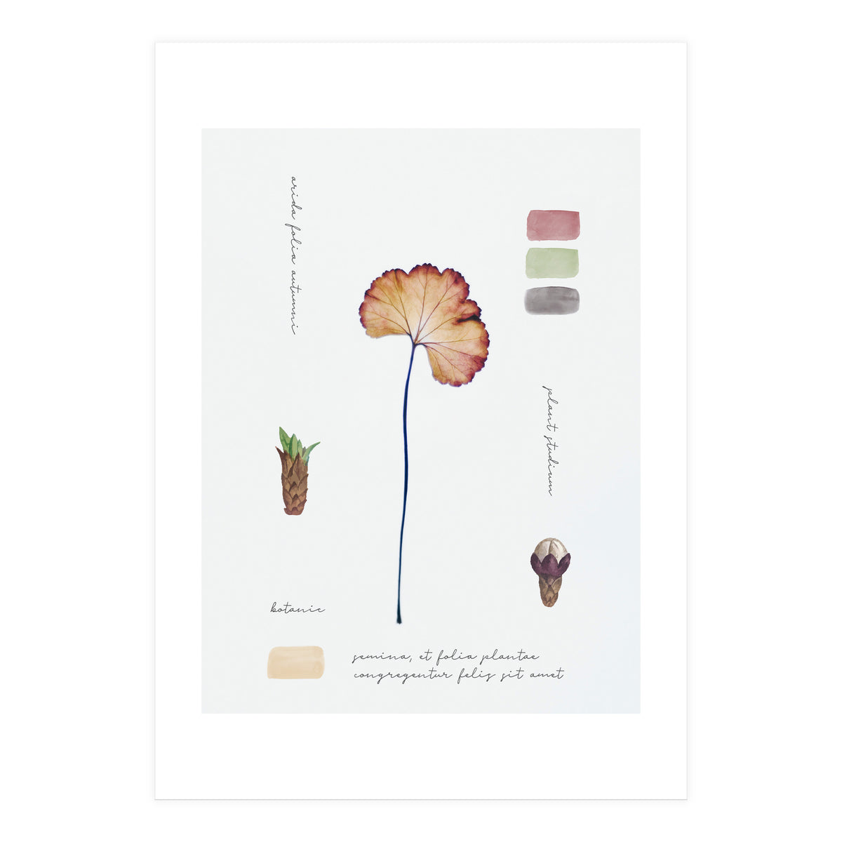 Botanical Notes (Print Only)