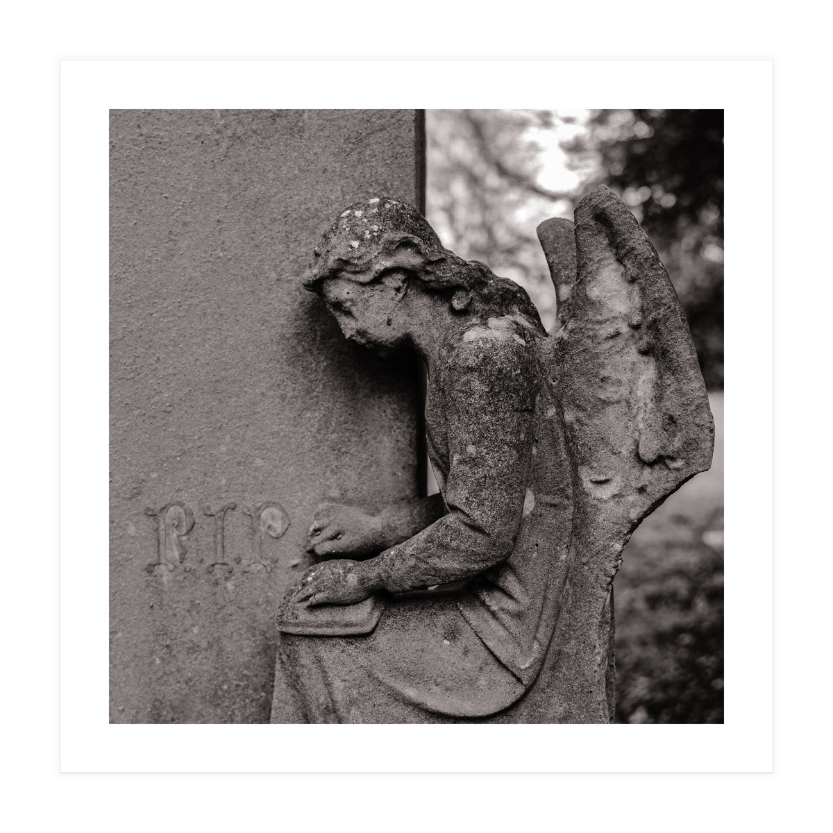 Rest in Peace (Print Only)