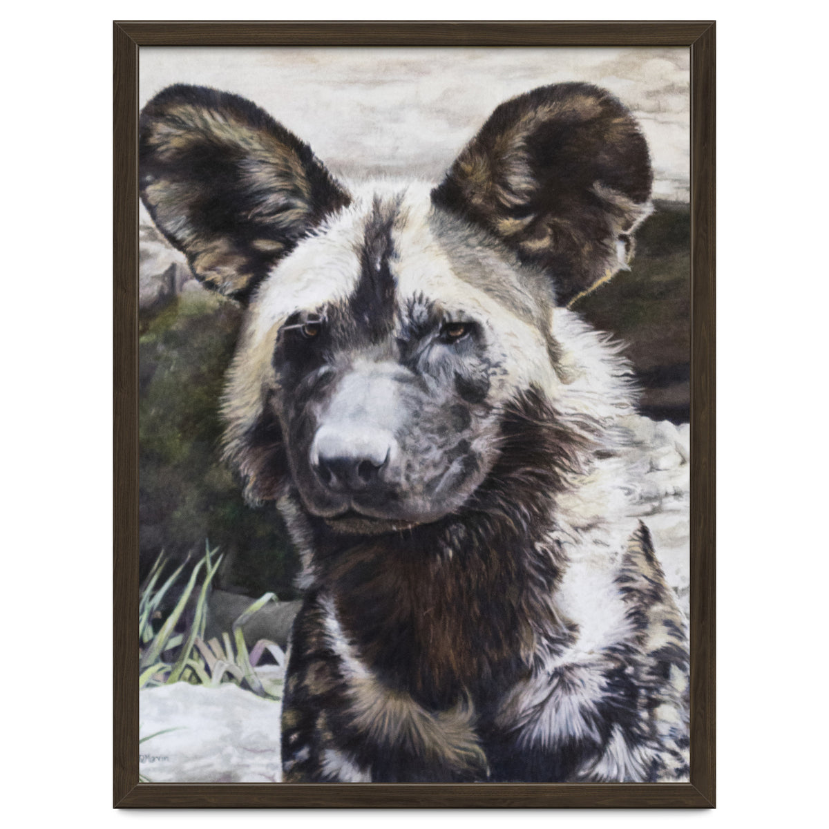 African Painted Dog II