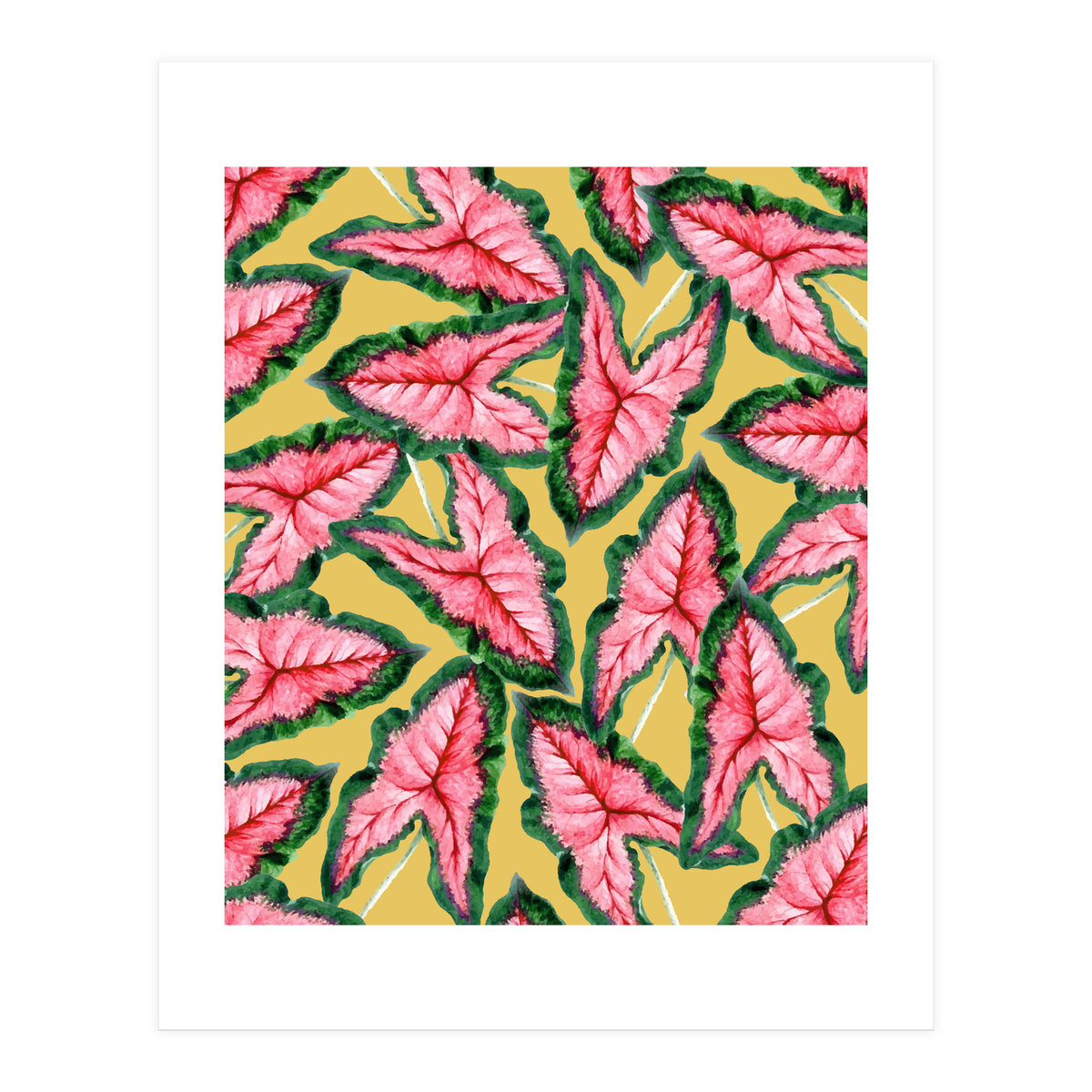 Caladium, Botanical Tropical Nature Plants, Vintage Bohemian Exotic Blush Leaves (Print Only)