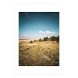 Dartmoor  (Print Only) thumbnail
