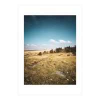 Dartmoor  (Print Only)