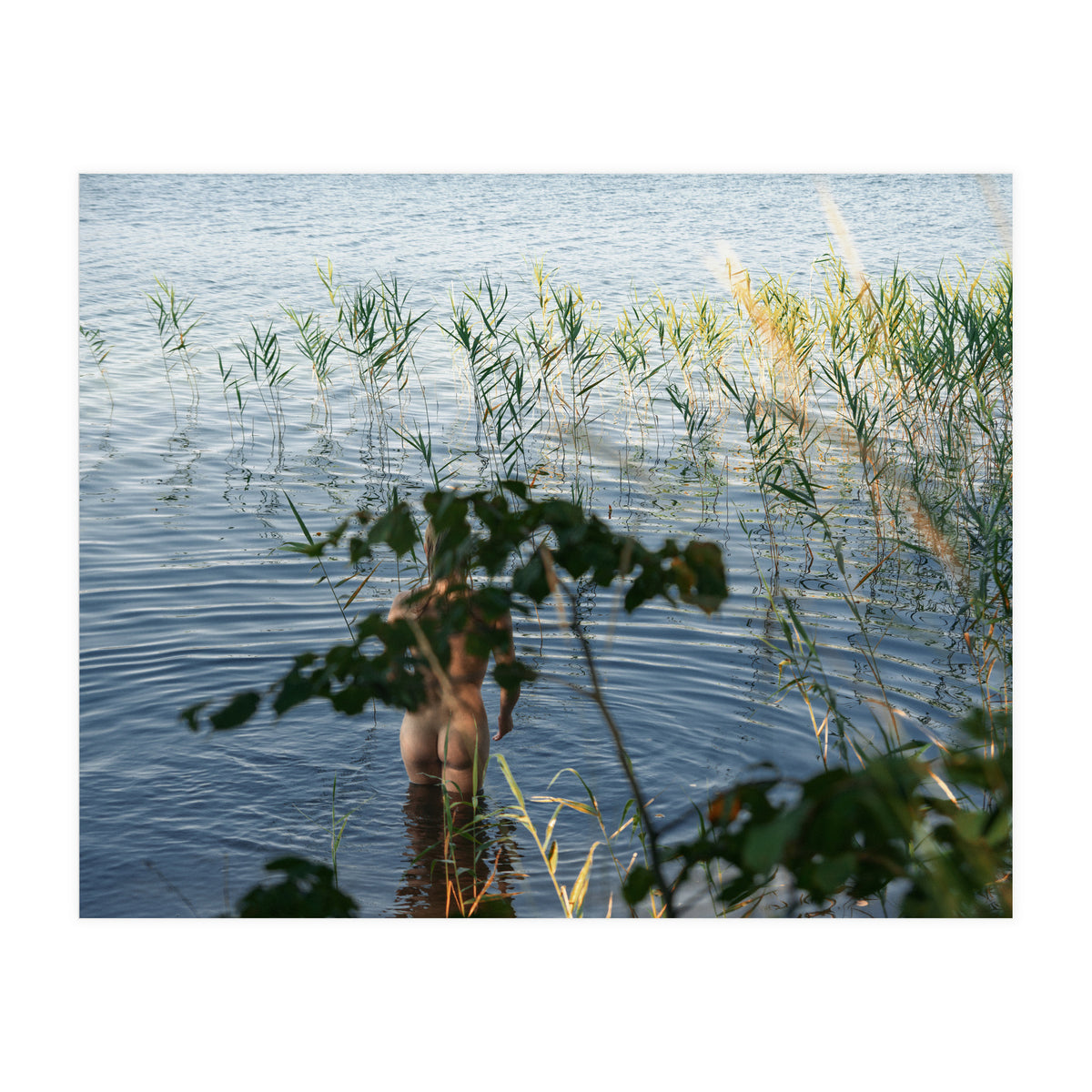 One, Two, Three (Print Only)