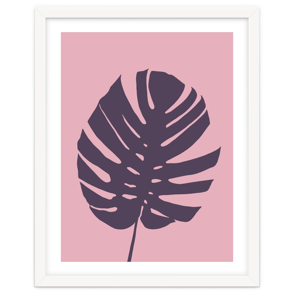 Monstera Deliciosa III