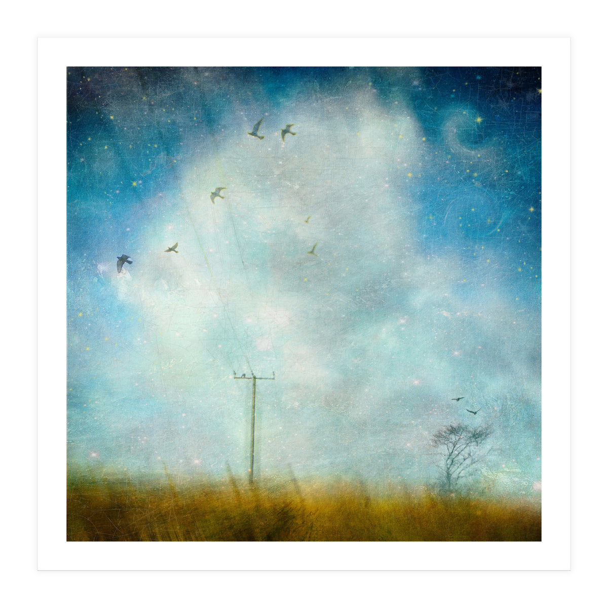 Silence, Shattered (Print Only)