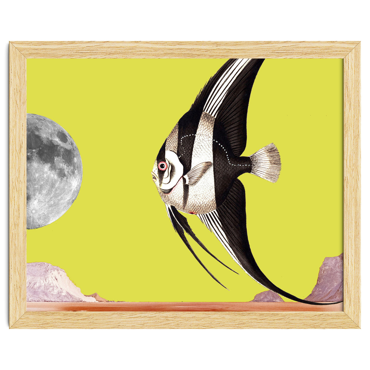 Plenty of fish in the sea yellow