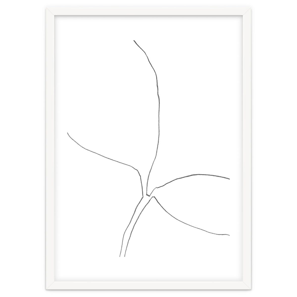 Seedling Leaning Right