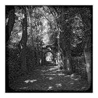 Alley to a cemetery (Print Only)