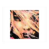 BM55 (Print Only) thumbnail