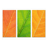 Autumn Leaves (Print Only) thumbnail