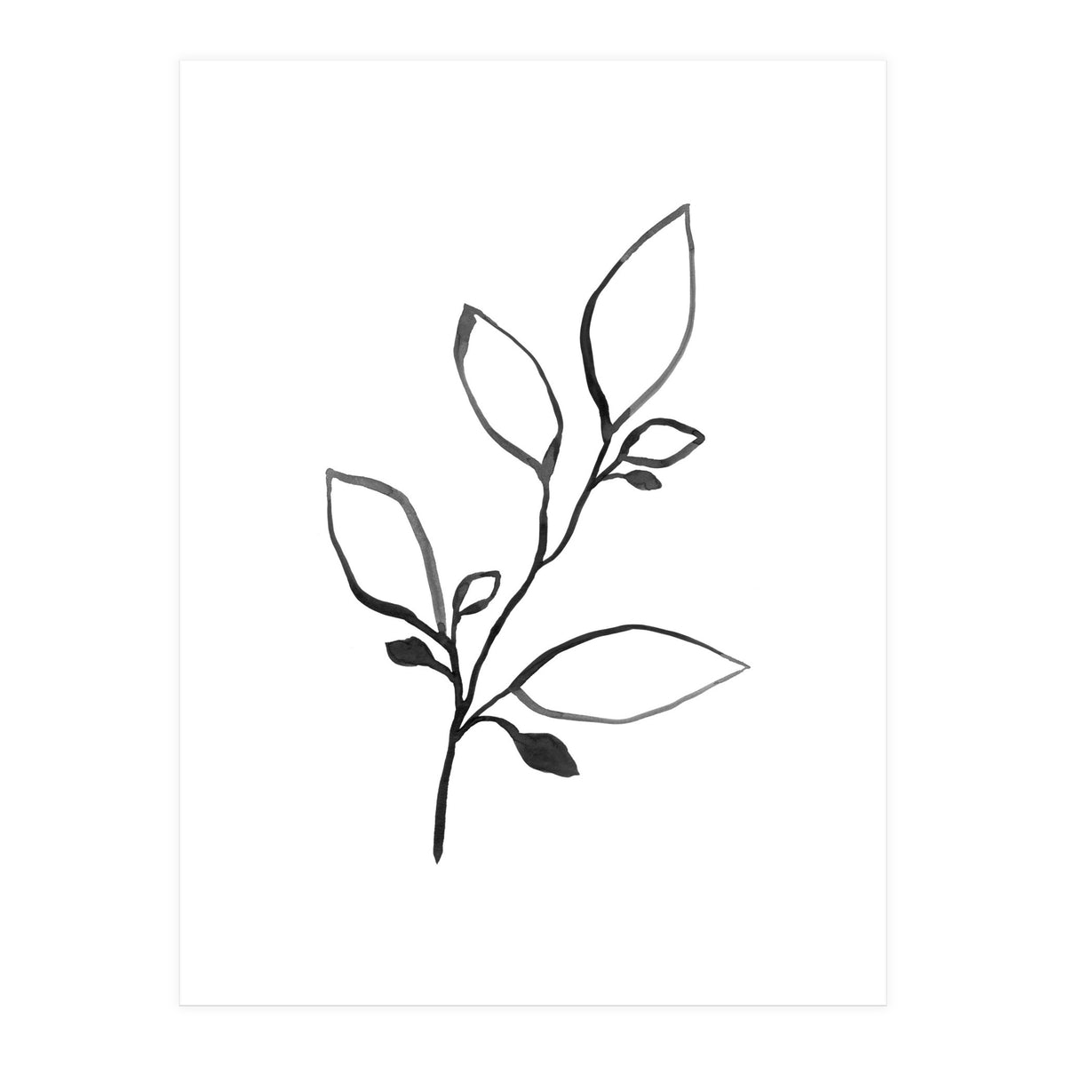 Ink Plant (Print Only)