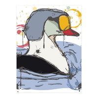 Male King Eider Duck Sketch (Print Only)