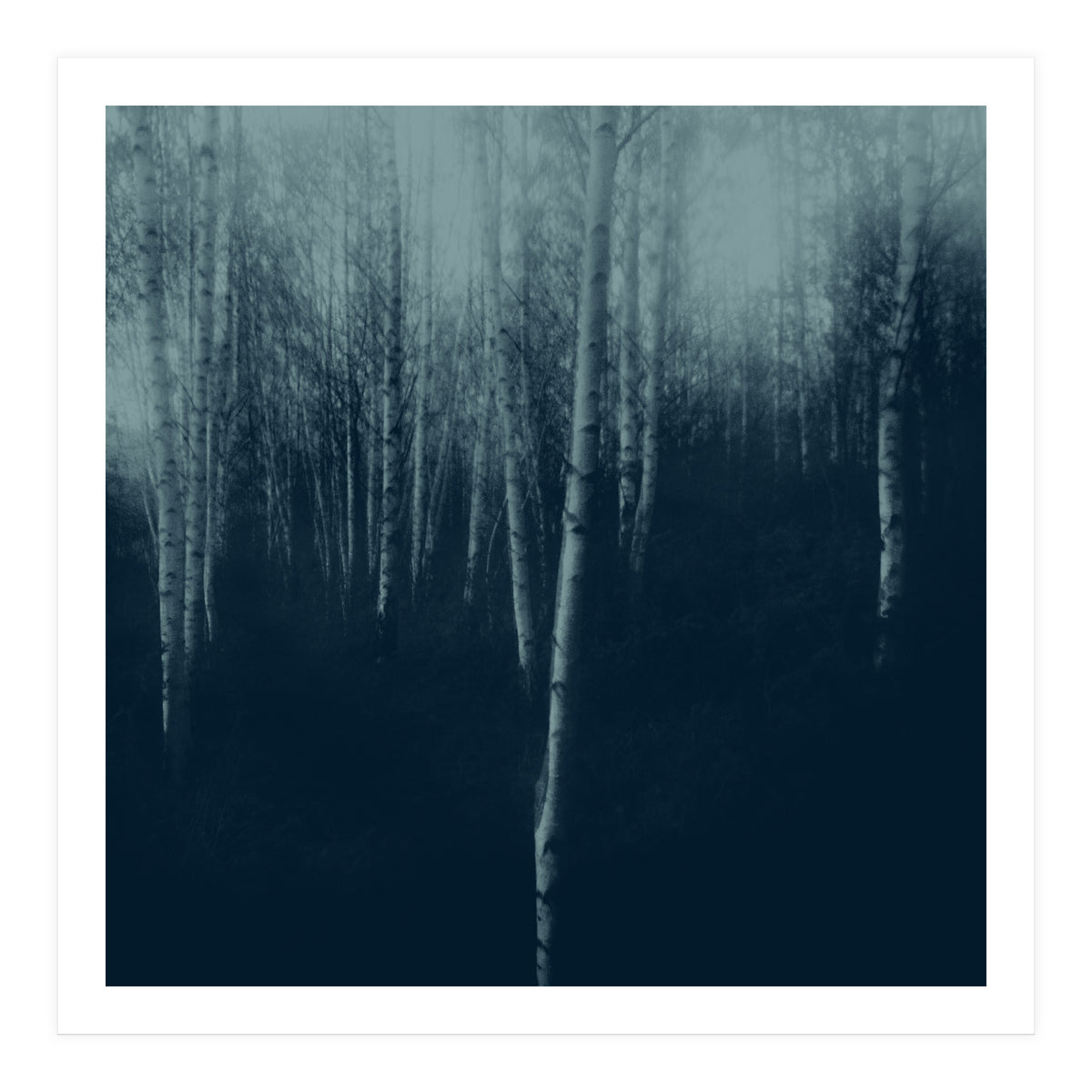 deep veins I (Print Only)