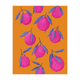 Pink Citrus (Print Only) thumbnail