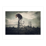 Bicho volador (Print Only) thumbnail