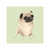 Sweet Fawn Pug (Print Only) thumbnail