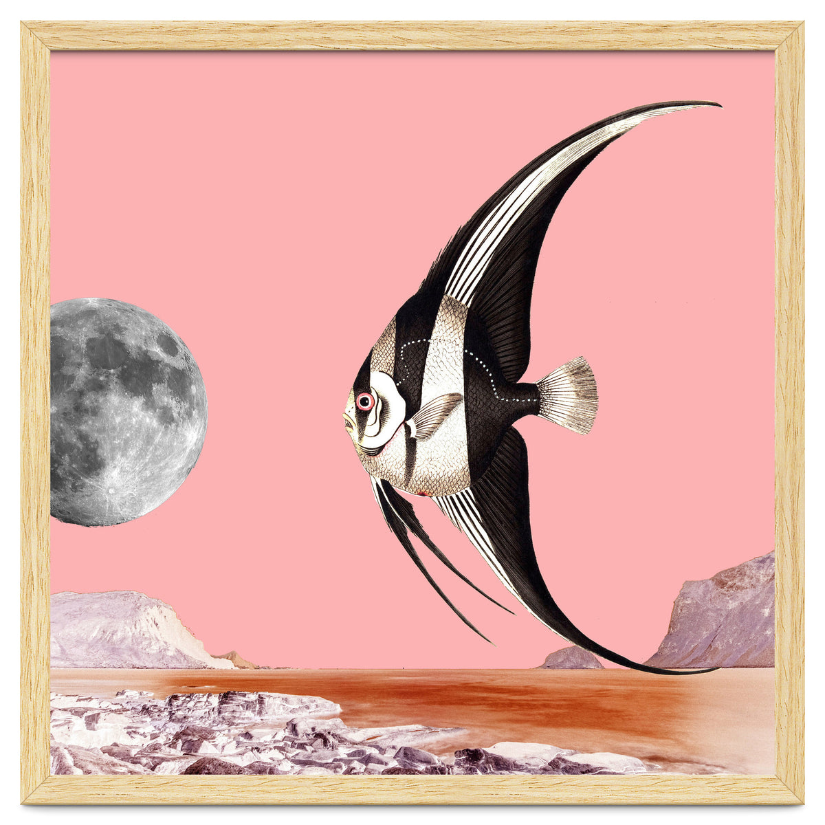 Plenty Of Fish In The Sea Pink