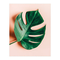 Monstera Shadow (Print Only)