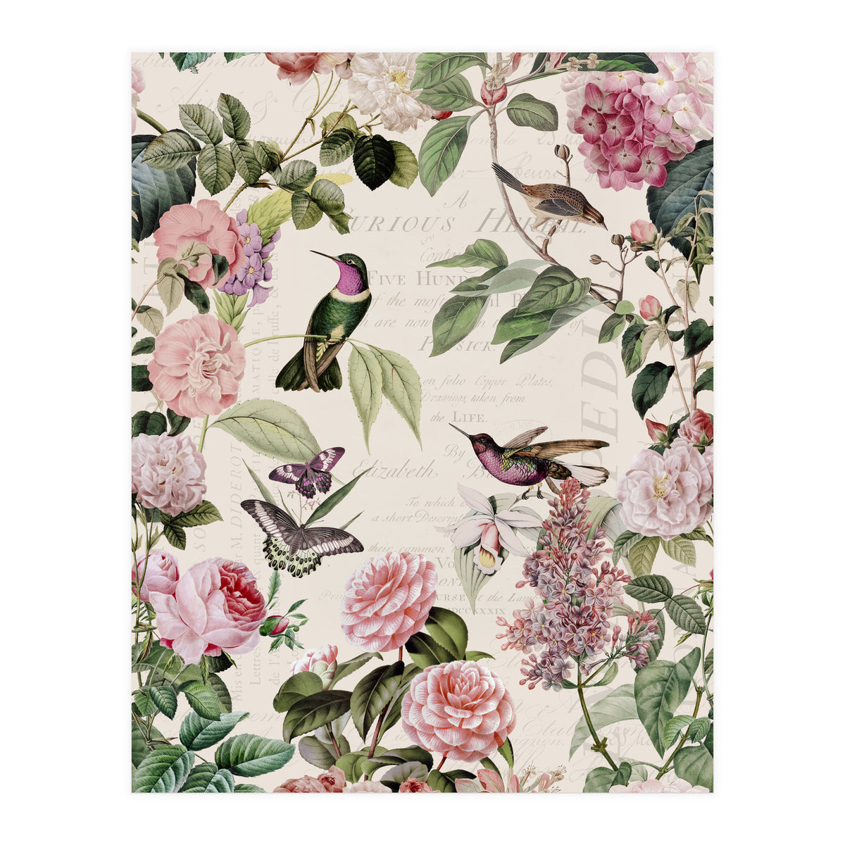 Hummingbirds And Roses (Print Only)
