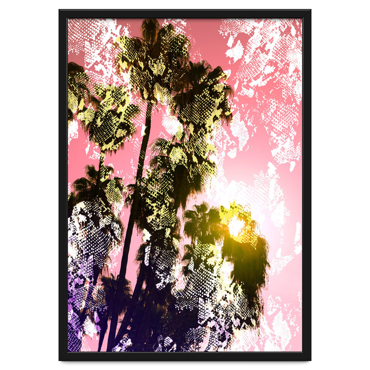 Snake sunset in paradise