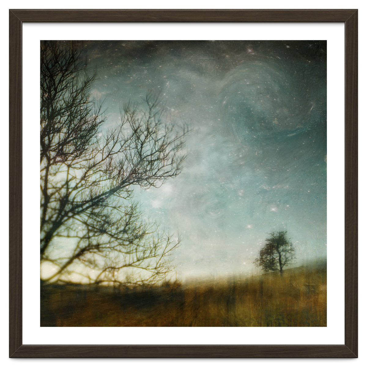 The Tree That Whispered