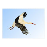 White Stork Bird Low Poly Art (Print Only) thumbnail