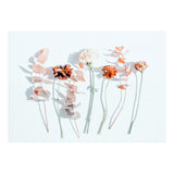 Minima (Print Only) thumbnail