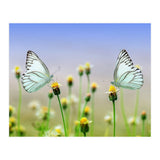 Butterfly (Print Only) thumbnail